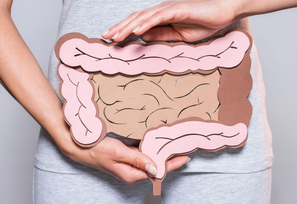 Hände halten eine Illustration des Darms vor dem Bauch einer Person