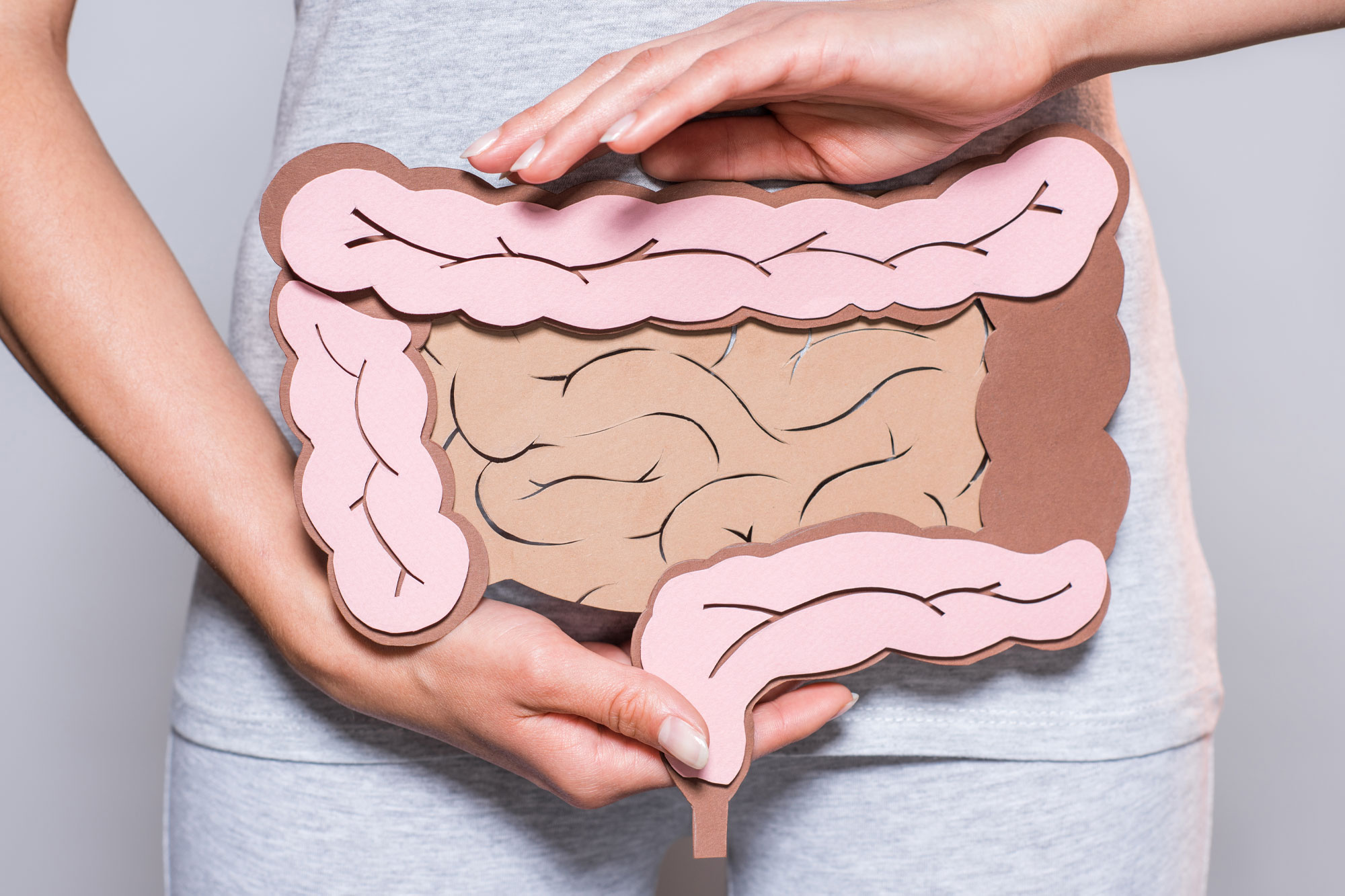 Hände halten eine Illustration des Darms vor dem Bauch einer Person